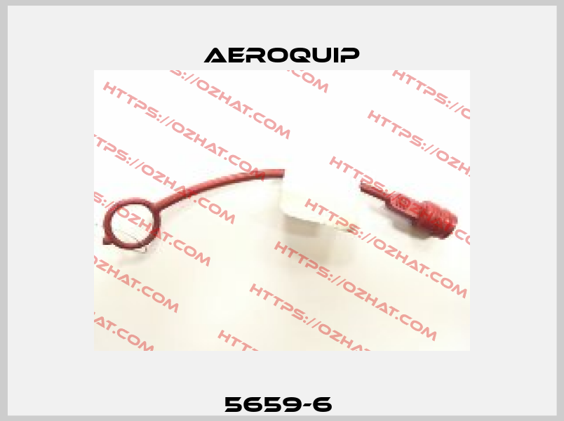 5659-6  Aeroquip