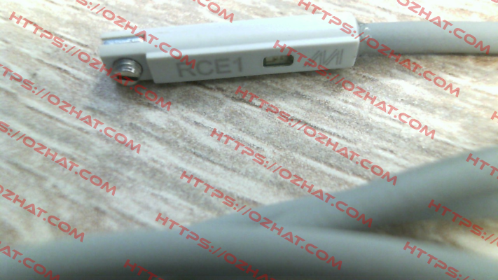 RCE1-2M (with 2 m lead wire) Mindman