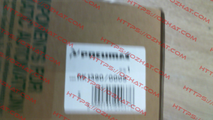 RG1390/0005 Pneumax