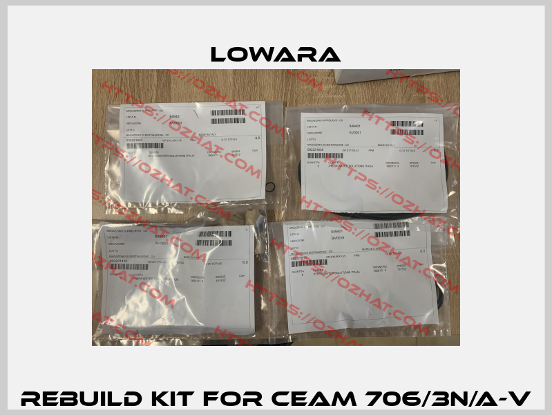 Rebuild kit for CEAM 706/3N/A-V Lowara