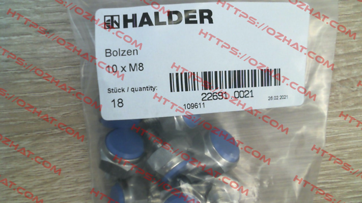 22691.0021 Halder