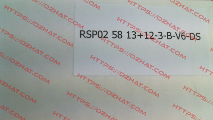 RSP02- 58 13+12-3-B-V6-DS (02.12.25231150) Resatron