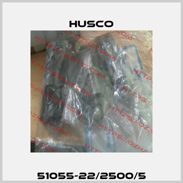 51055-22/2500/5 Husco