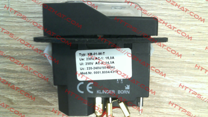 0001.8004 Klinger Born