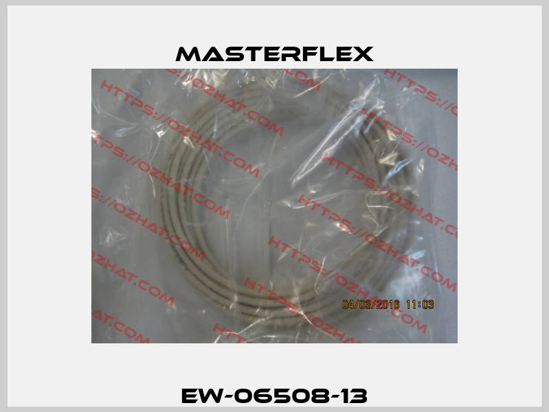 EW-06508-13 Masterflex