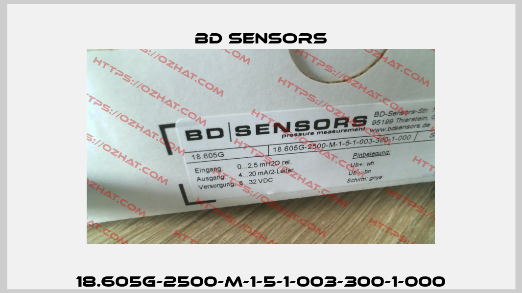 18.605G-2500-M-1-5-1-003-300-1-000 Bd Sensors