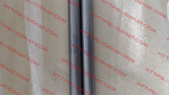 0542TR / 0175N 206/05 G 13 Stabilus