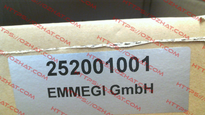 2020K (252001001 ) Emmegi