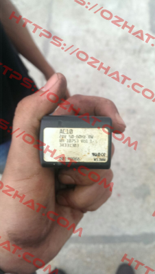 34331303 Burkert
