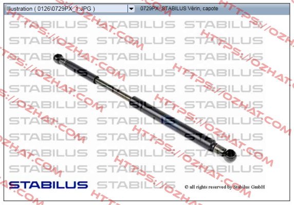 0729PX Stabilus