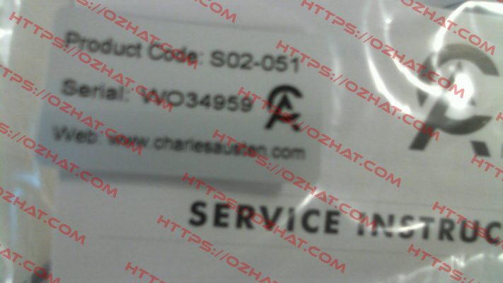 S02-051 Charles Austen Pumps