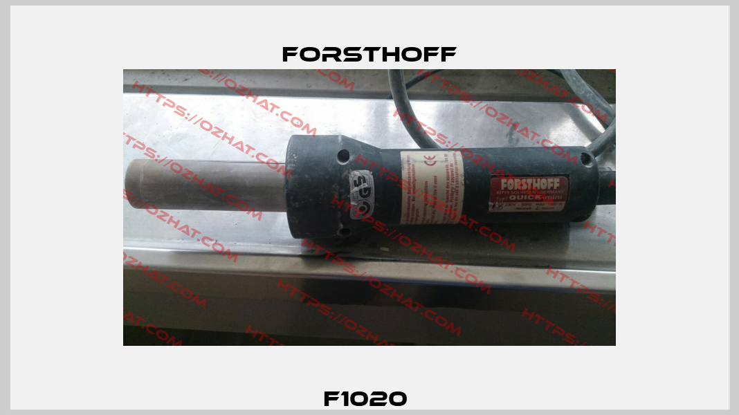 F1020  Forsthoff