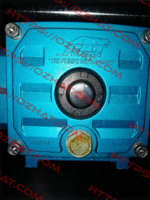 6132 Cat Pumps