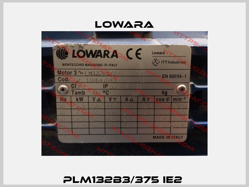 PLM132B3/375 IE2  Lowara