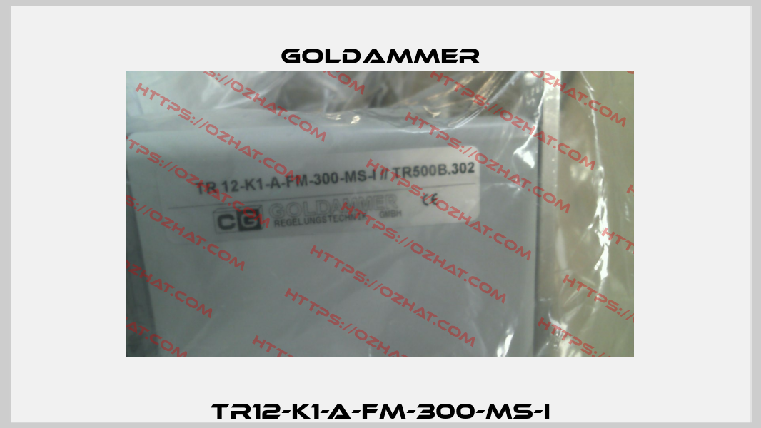 TR12-K1-A-FM-300-MS-I Goldammer