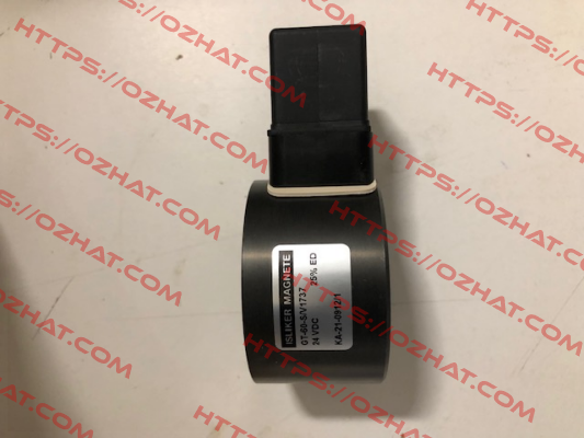 71066139 / GT-60-25S-24/V1737 ISLIKER MAGNETE