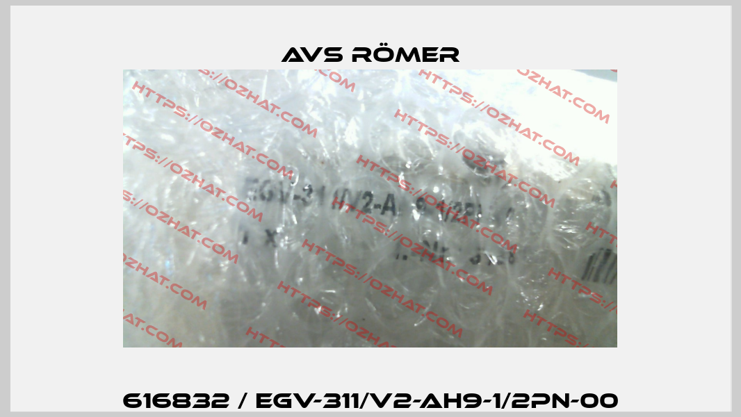 616832 / EGV-311/V2-AH9-1/2PN-00 Avs Römer