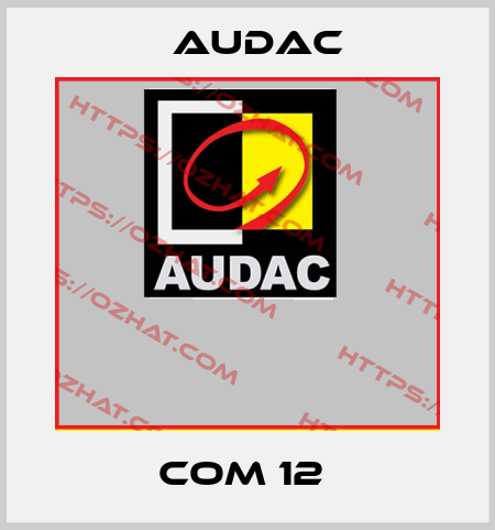 COM 12  Audac