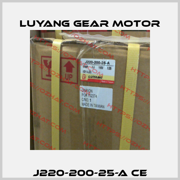 J220-200-25-A CE Luyang Gear Motor