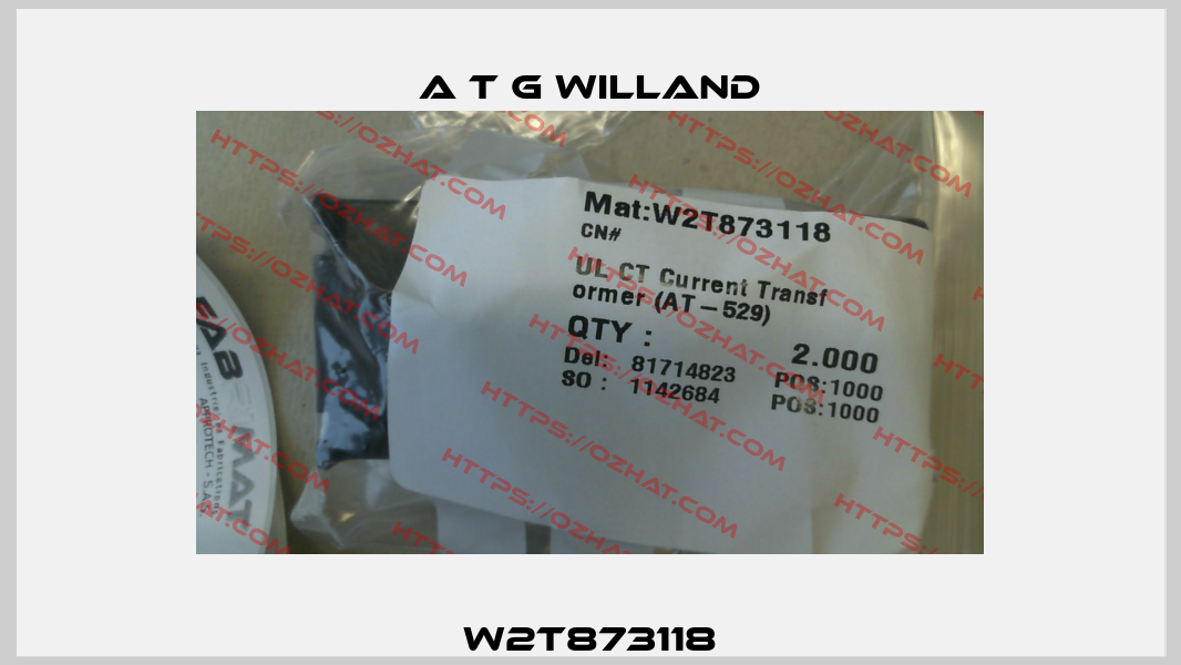 W2T873118 A T G Willand