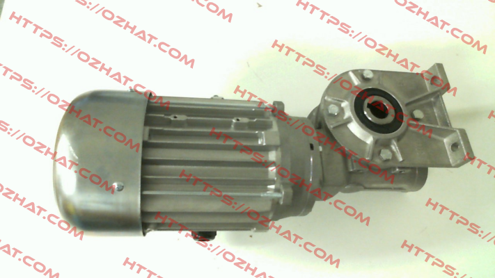 RMI40-100/1-MM63L/4-SO Carpanelli