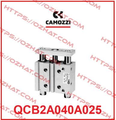 10-3087-0253  QCB2A040A025 Camozzi