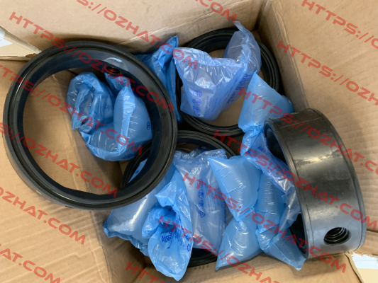 Repair kit for 301 DN 150 Sirca