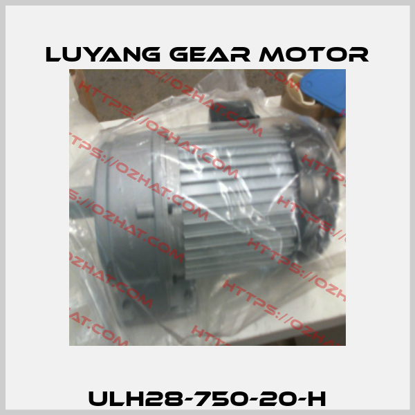 ULH28-750-20-H Luyang Gear Motor