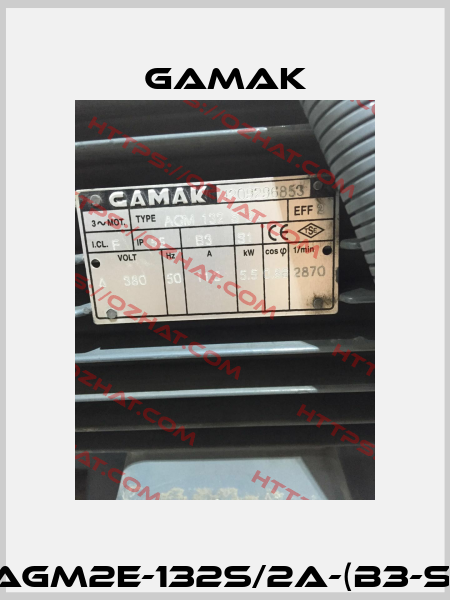 AGM2E-132S/2a-(B3-S) Gamak