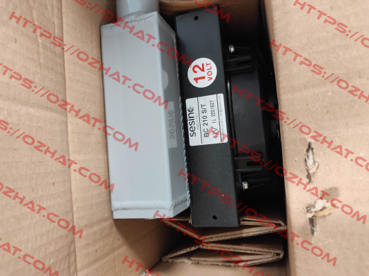 3RBC21012 Sesino