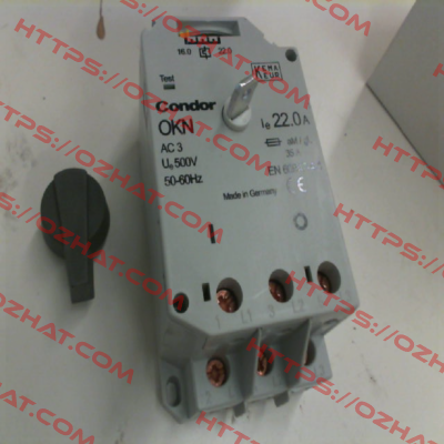 203483 Condor