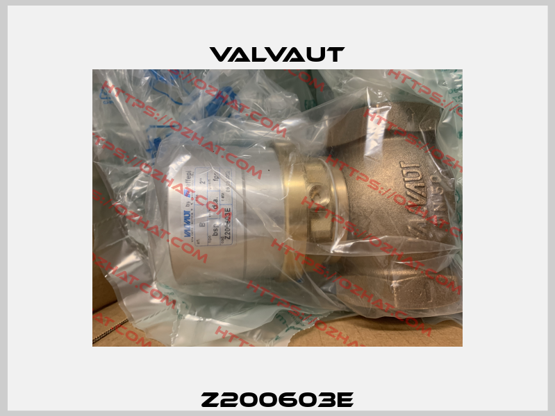 Z200603E Valvaut
