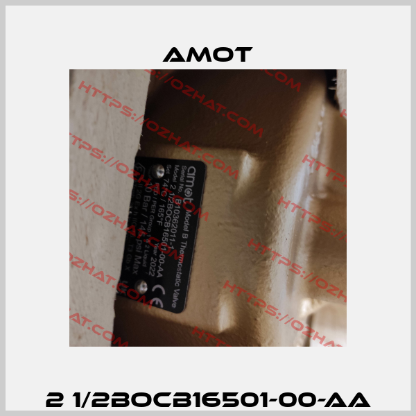 2 1/2BOCB16501-00-AA Amot