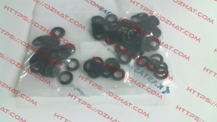10021914  / K54 20X13X2,5 Kastas Sealing