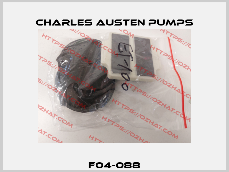 F04-088 Charles Austen Pumps