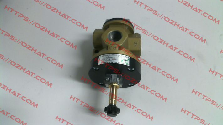 722.32.0.1C.M2 Pneumax