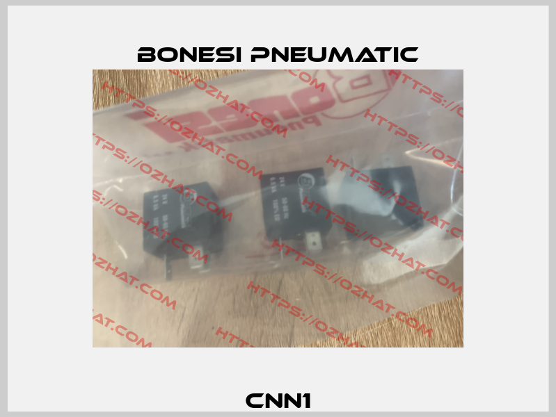 CNN1 Bonesi Pneumatic