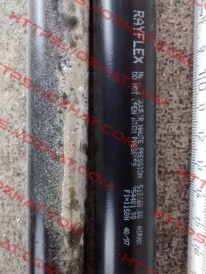 211600541  Rayflex