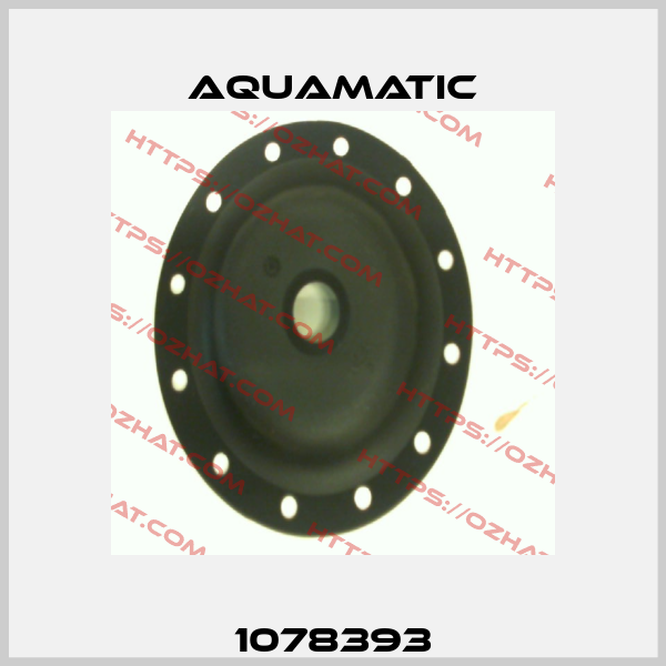 1078393 AquaMatic