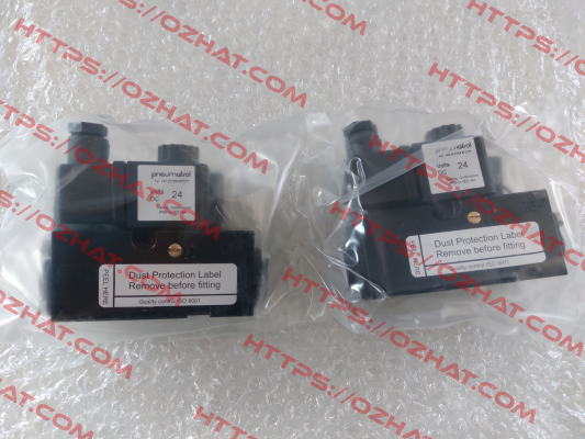 R2518PKS0-B Pneumatrol