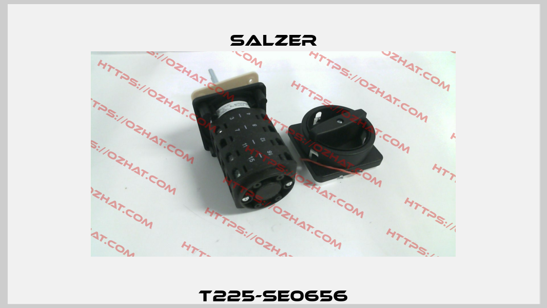 T225-SE0656 Salzer