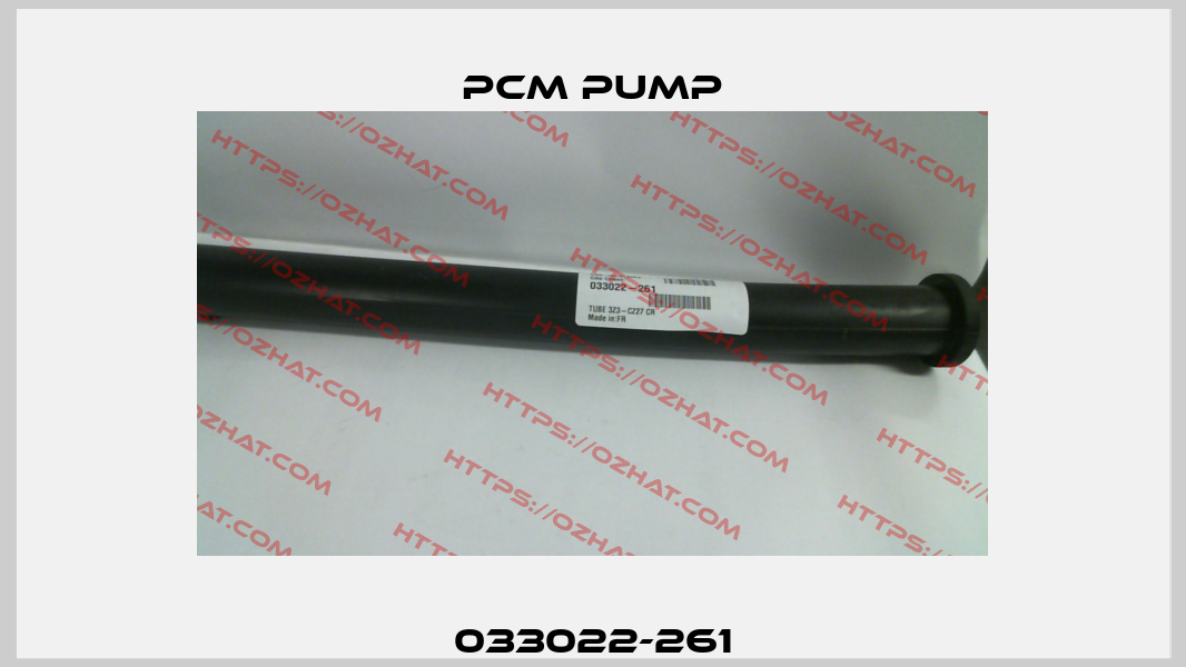 033022-261 PCM Pump