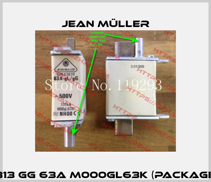 N5013813 gG 63A M000GL63K (package 1 x 3)  Jean Müller
