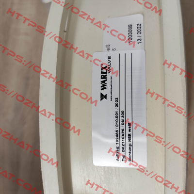WX6000 for DKZ110APS DN 300 Warex