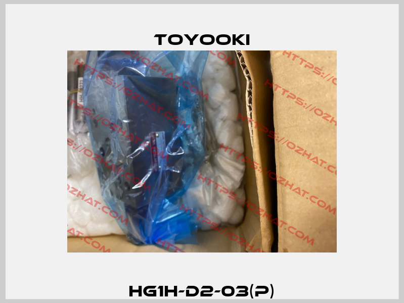 HG1H-D2-03(P) Toyooki