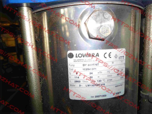 Cylinder for SV-607F75T, Cod:1C2541371  Lowara