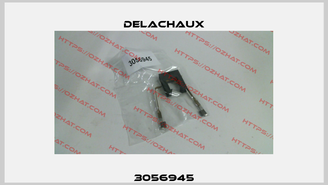 3056945 Delachaux