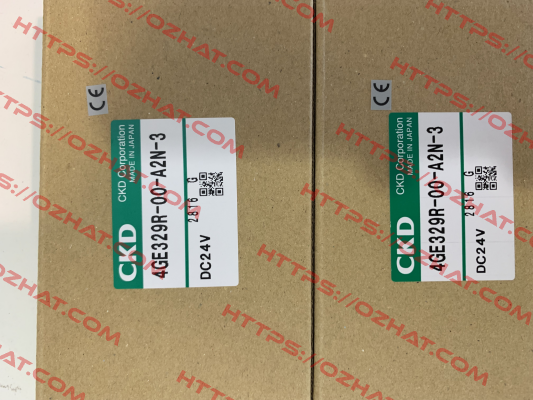 4GE319R-00-A2N-3 Ckd