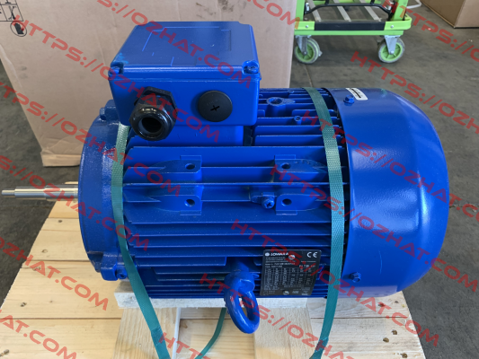PLM132B14 S2 350 IE3  / 50A17VH00 Lowara
