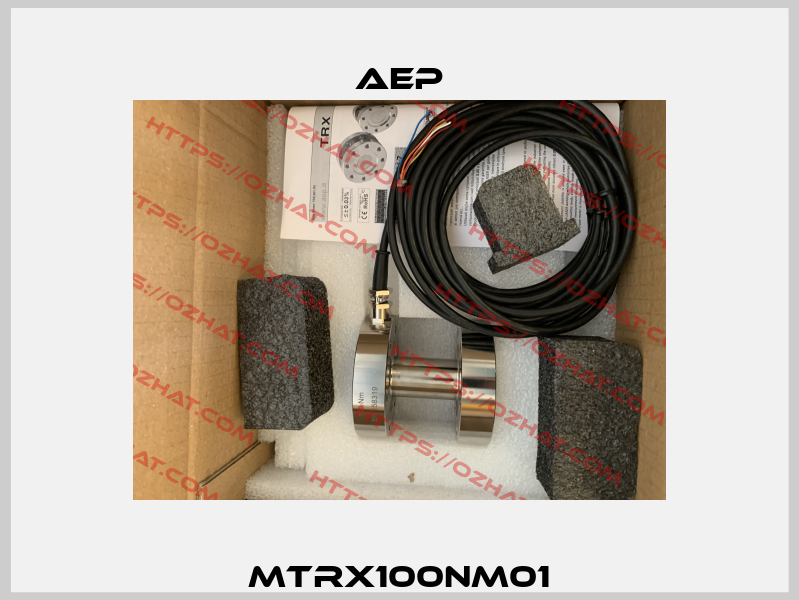 MTRX100NM01 AEP